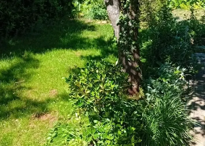 With Parking Space Premantura, Medulin - 24532